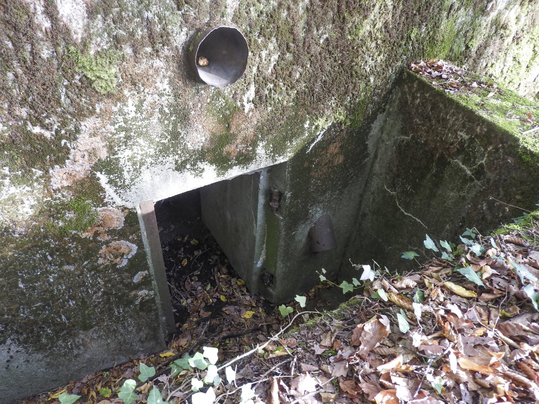 Ligne Maginot - BB35 - (Blockhaus pour arme infanterie) - L'entrée du blockhaus. - STENGER Mathieu