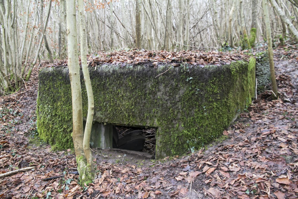 Ligne Maginot - BBO3 - (Blockhaus pour canon) -  - Alain Perouffe