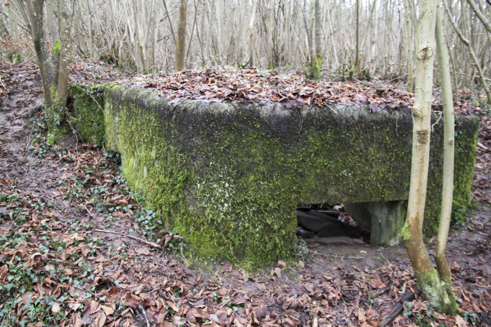 Ligne Maginot - BBO3 - (Blockhaus pour canon) -  - Alain Perouffe