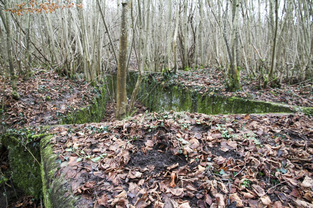 Ligne Maginot - BBO3 - (Blockhaus pour canon) - Tranchée d’accès bétonnée - Alain Perouffe