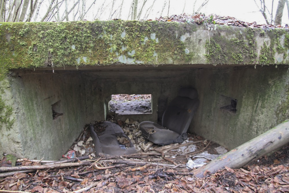 Ligne Maginot - BBO3 - (Blockhaus pour canon) - Tranchée d’accès bétonnée - Alain Perouffe