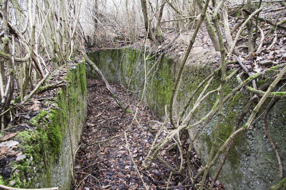 Ligne Maginot - BBO3 - (Blockhaus pour canon) - Tranchée d’accès bétonnée - Alain Perouffe