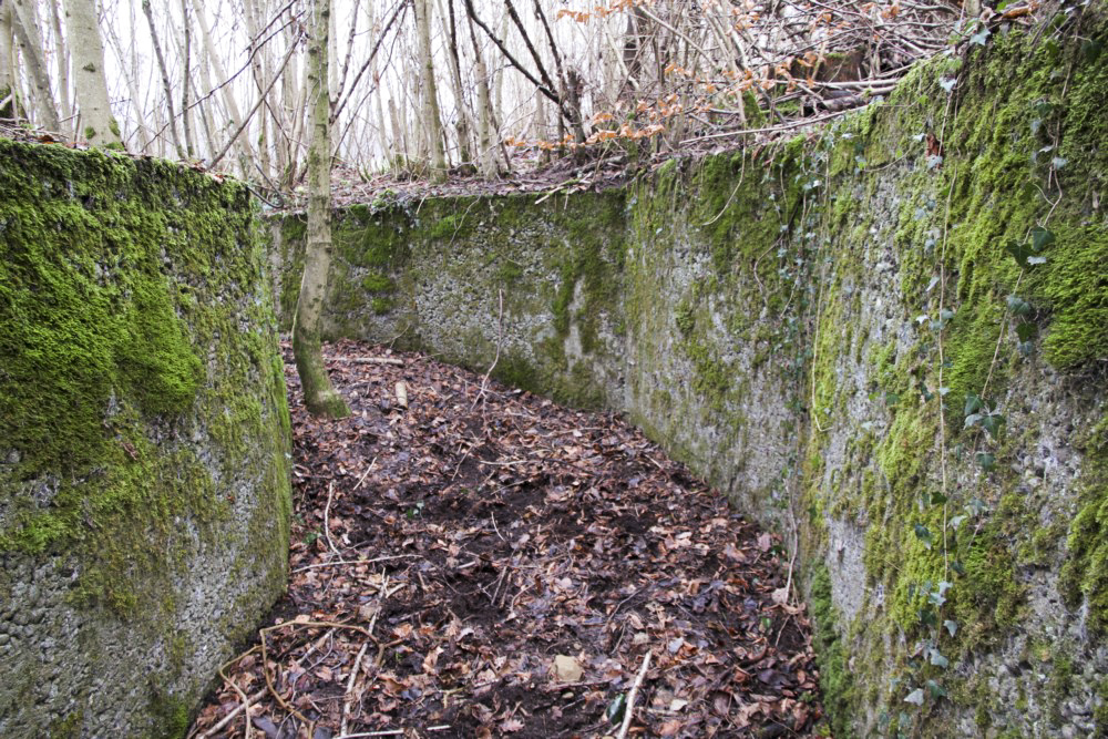 Ligne Maginot - BBO3 - (Blockhaus pour canon) - Tranchée d’accès bétonnée - Alain Perouffe