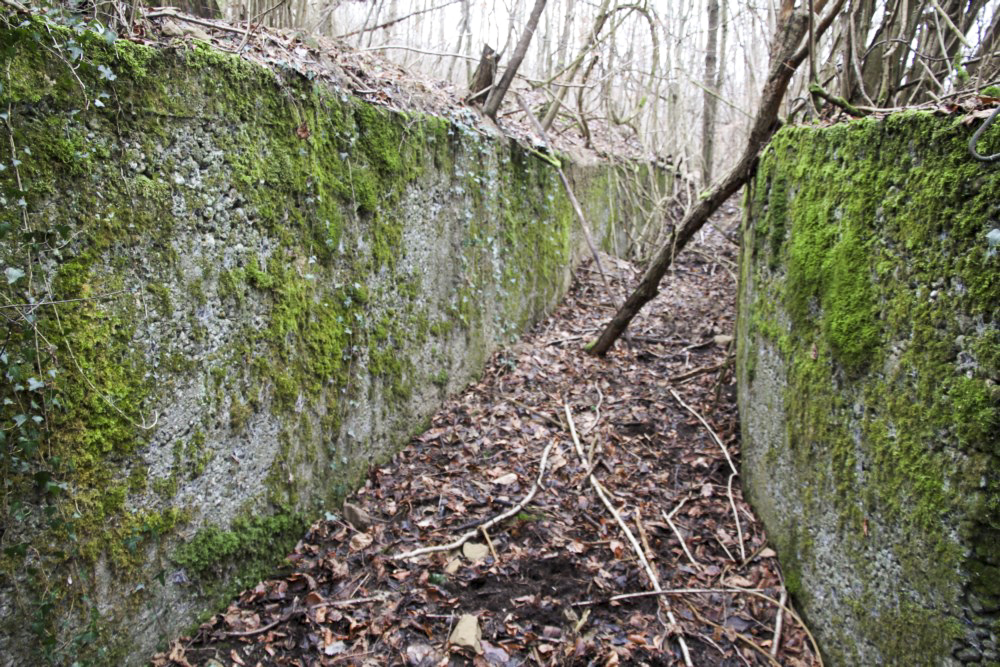 Ligne Maginot - BBO3 - (Blockhaus pour canon) - Tranchée d’accès bétonnée - Alain Perouffe