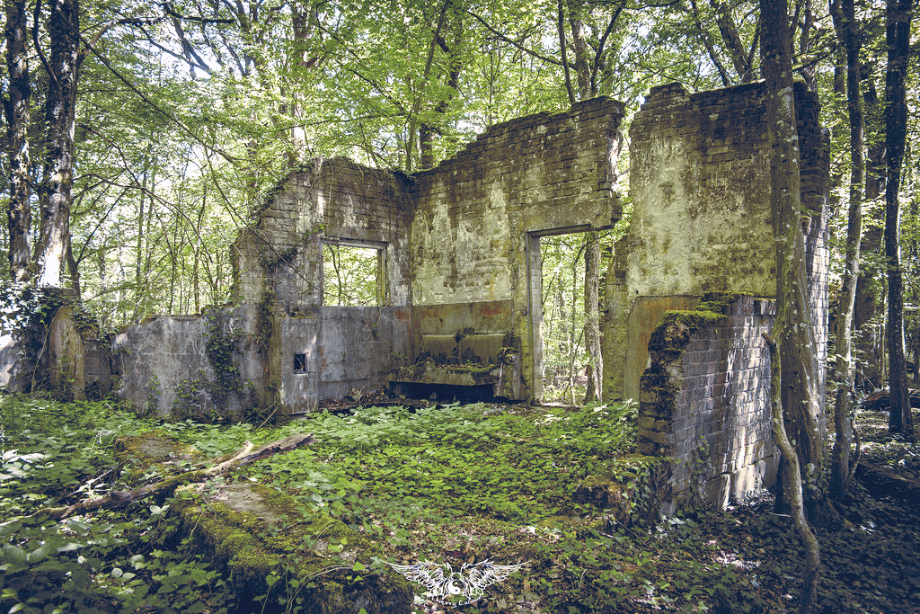Ligne Maginot - BERENBACH - (Casernement) -  - Thierry Caland