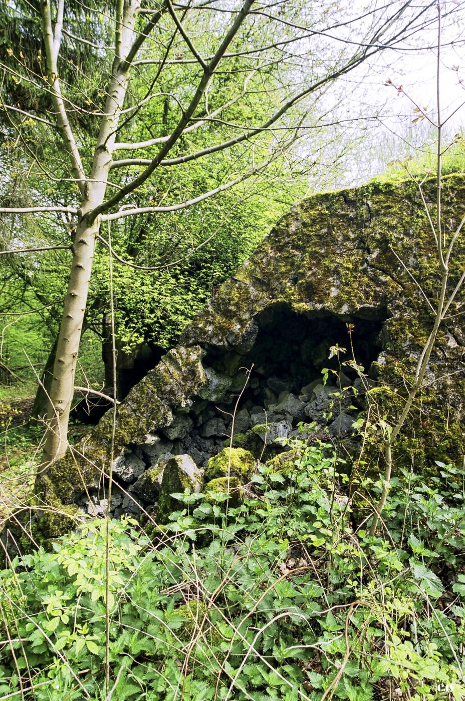 Ligne Maginot - BERENBACH - A26 - (Ouvrage d'infanterie) - Bloc 1
Le rocaille - Lia VERMEULEN