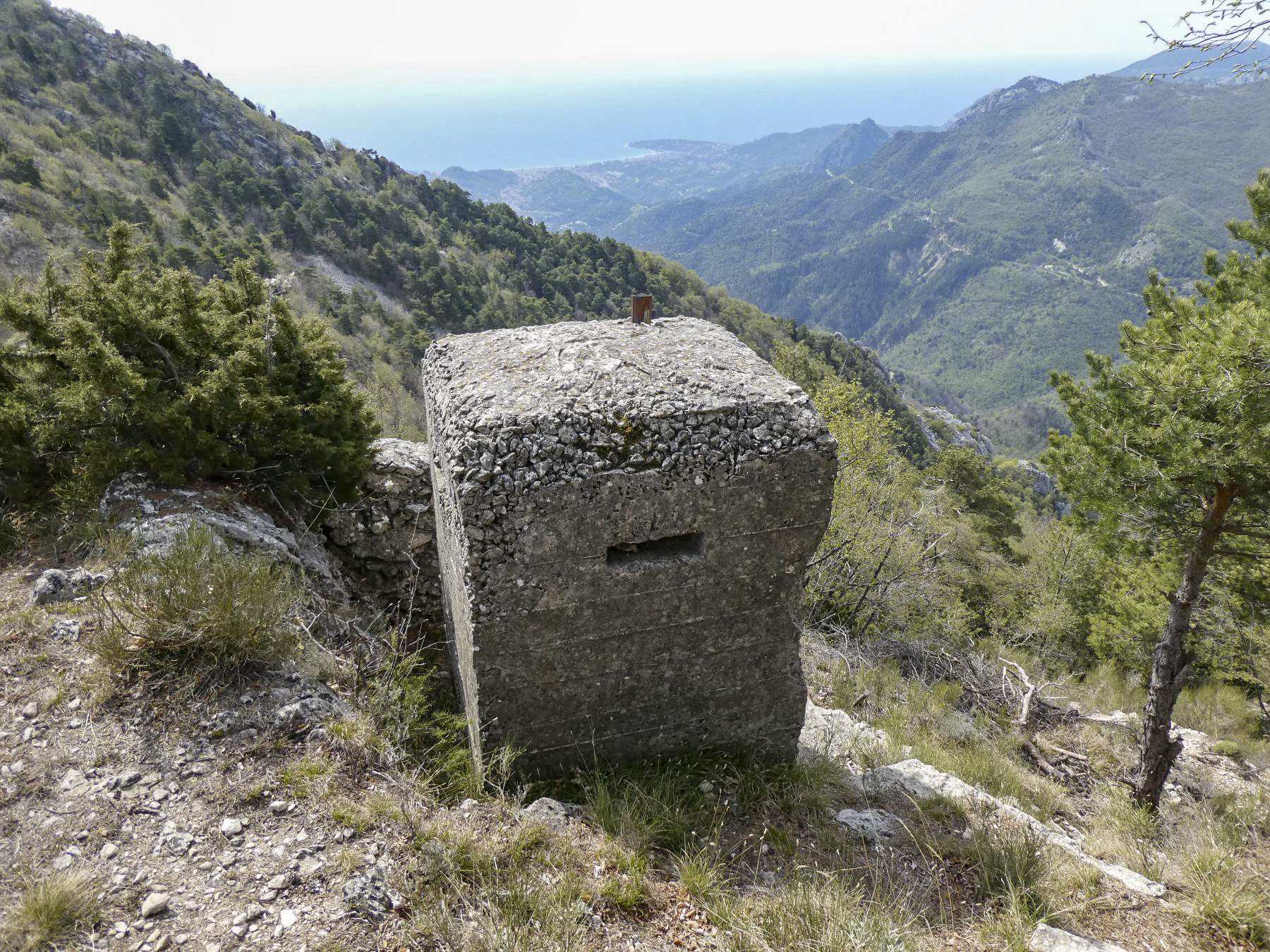 Ligne Maginot - BAISSE DE SCUVION 3 - (Blockhaus pour arme infanterie) -  - ELLENA Daniel - CUNY Philippe