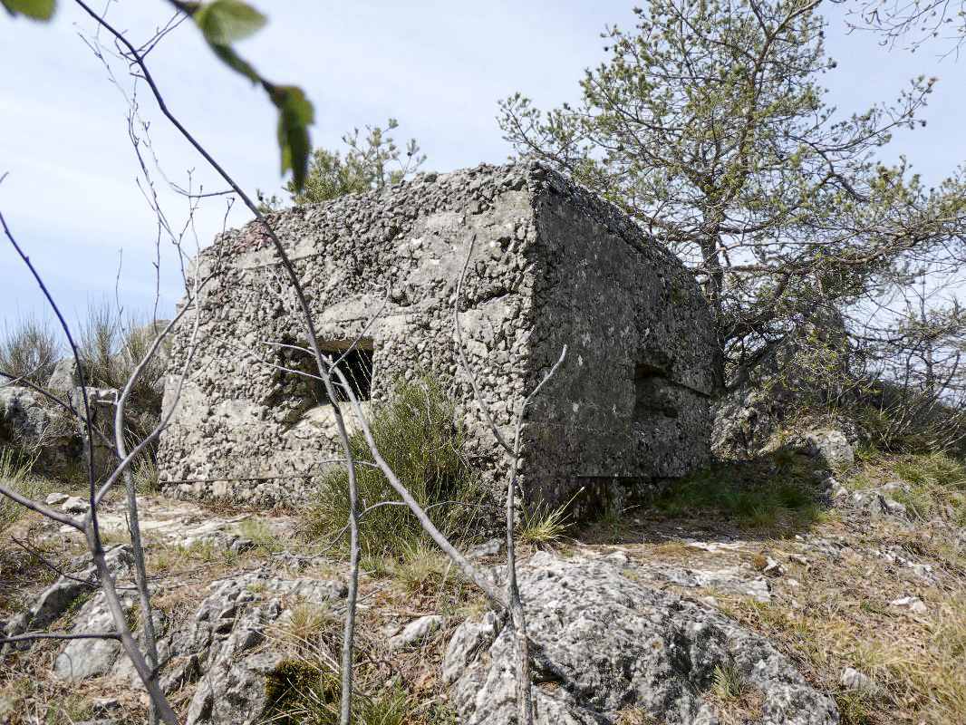 Ligne Maginot - BAISSE DE SCUVION 5 - (Blockhaus pour arme infanterie) -  - ELLENA - CUNY