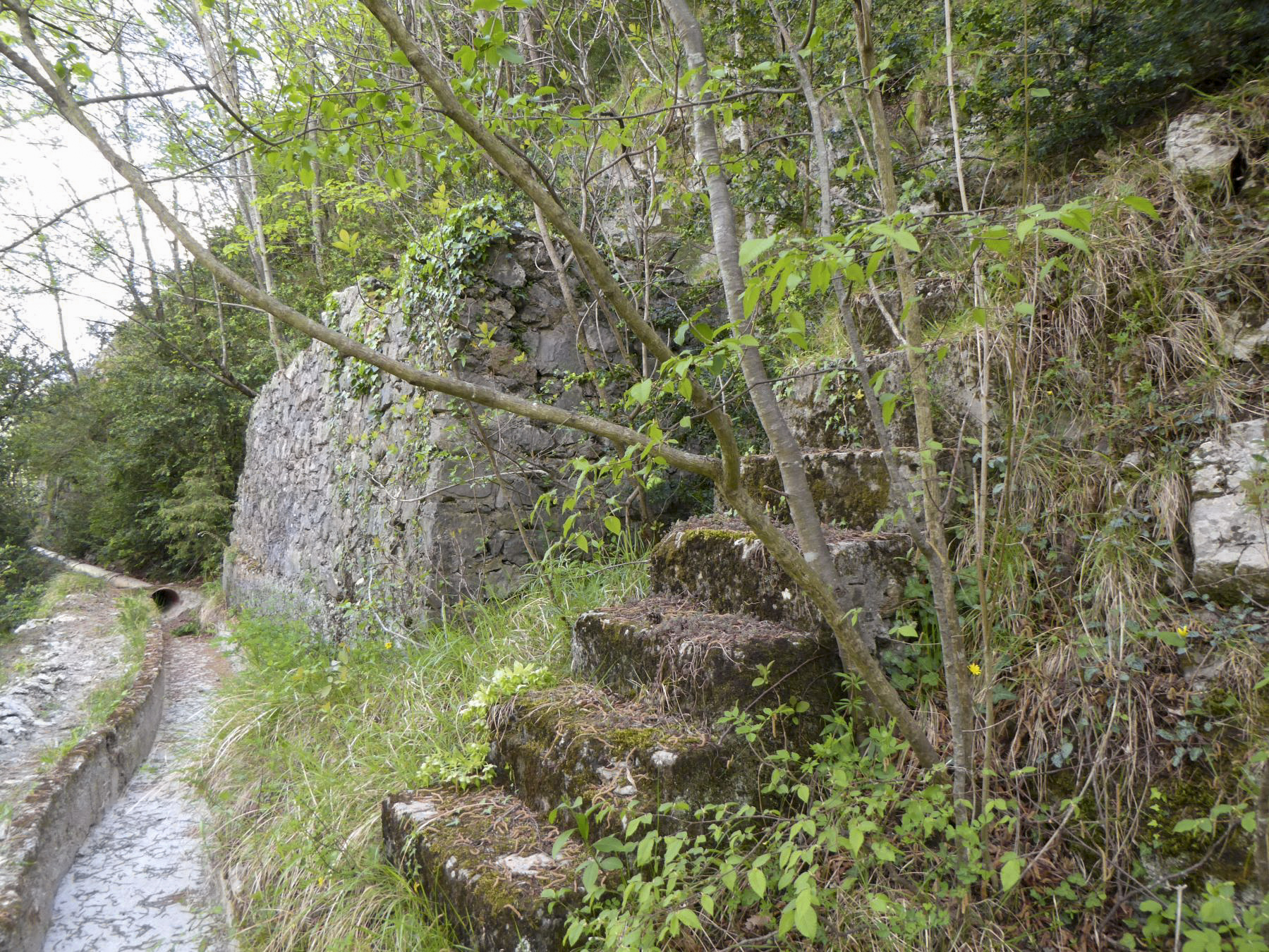 Ligne Maginot - CASTEL VIEIL - (Casernement) -  - ELLENA Daniel - CUNY Philippe