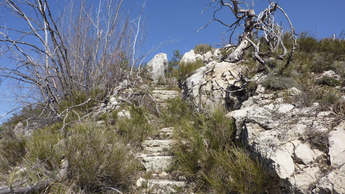 Ligne Maginot - BAISSE DE SCUVION - (Ouvrage d'infanterie) - L'escalier menant vers les blocs construits sur les dessus du piton rocheux - ELLENA-CUNY