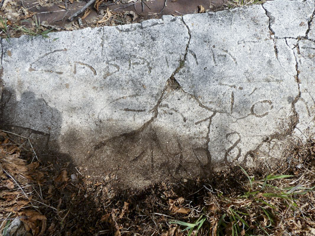 Ligne Maginot - BAISSE DE SCUVION 7 - (Abri) - Casernement (graffiti) - ELLENA - CUNY