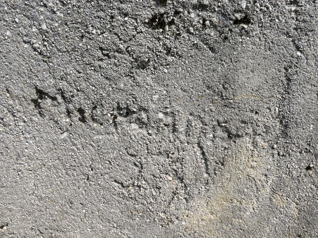 Ligne Maginot - BAISSE DE SCUVION 7 - (Abri) - Citerne (graffiti) - ELLENA - CUNY