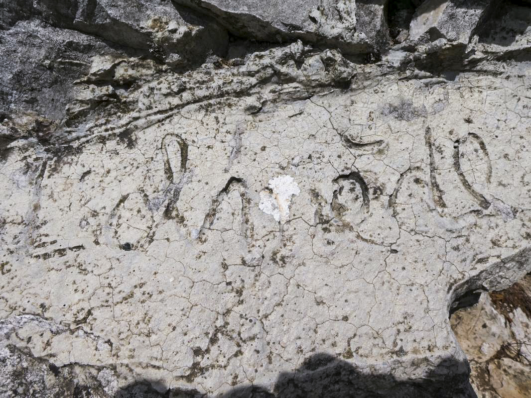 Ligne Maginot - BAISSE DE SCUVION 7 - (Abri) - Citerne (graffiti) - ELLENA - CUNY