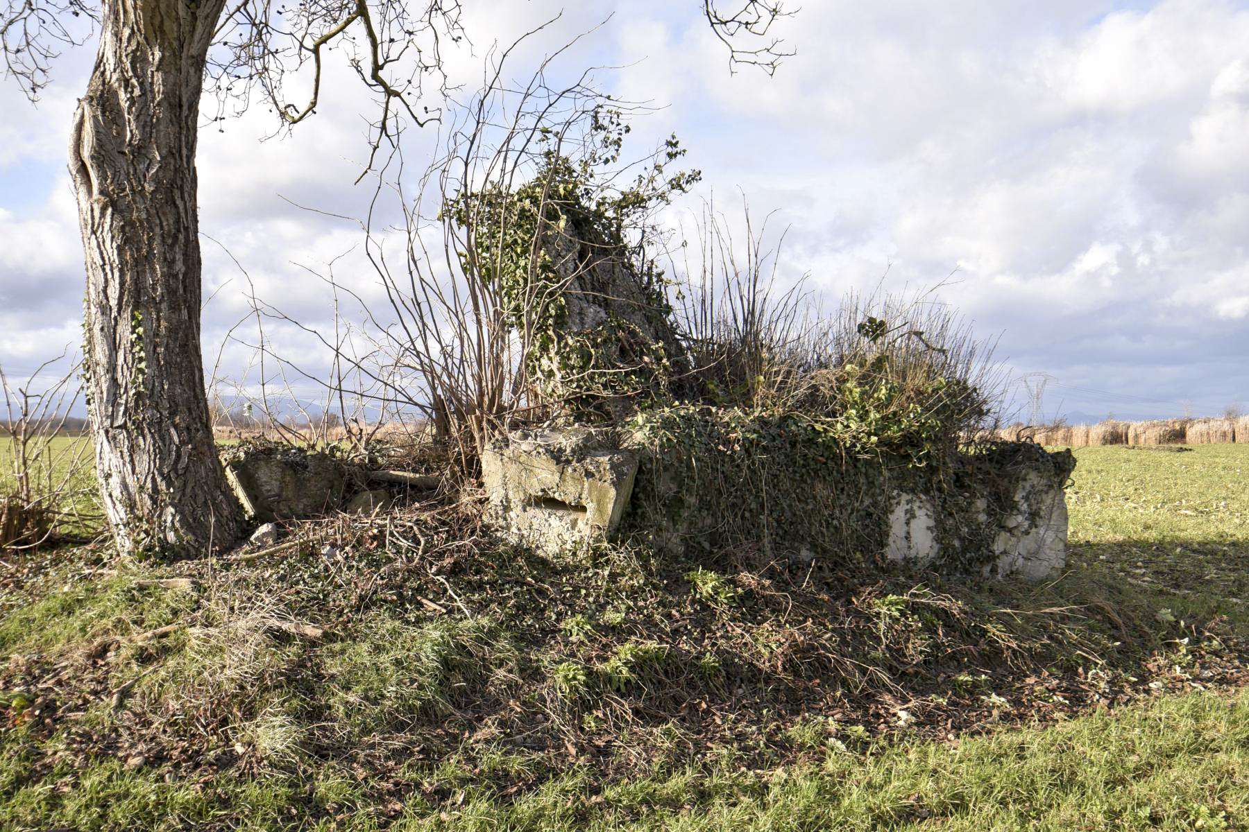 Ligne Maginot - H7 - BALTZENHEIM NORD - (Blockhaus pour arme infanterie) -  - Ludovic KNAPP