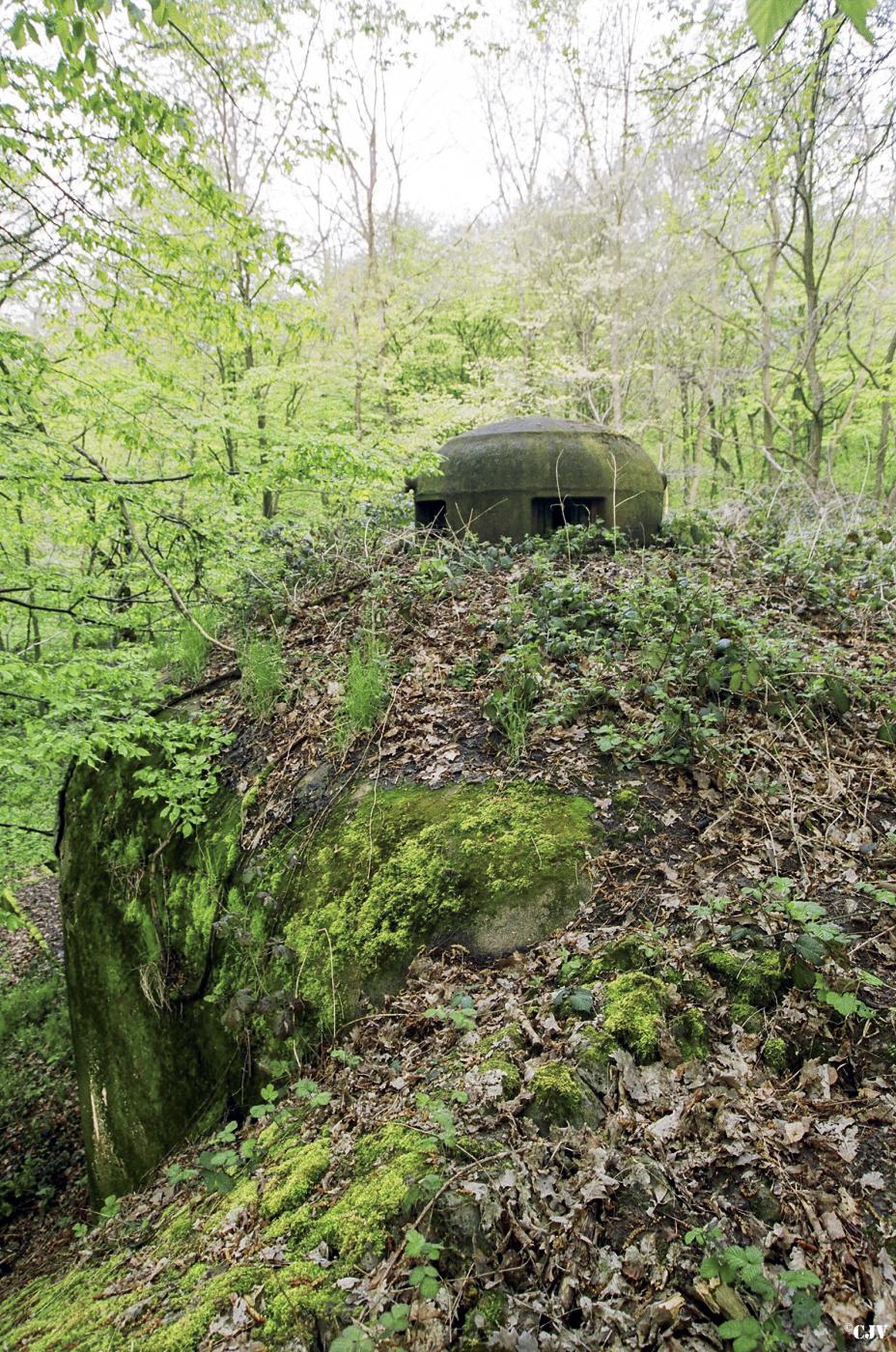 Ligne Maginot - BERENBACH - A26 - (Ouvrage d'infanterie) - Bloc 1
Cloche GFM - Lia VERMEULEN