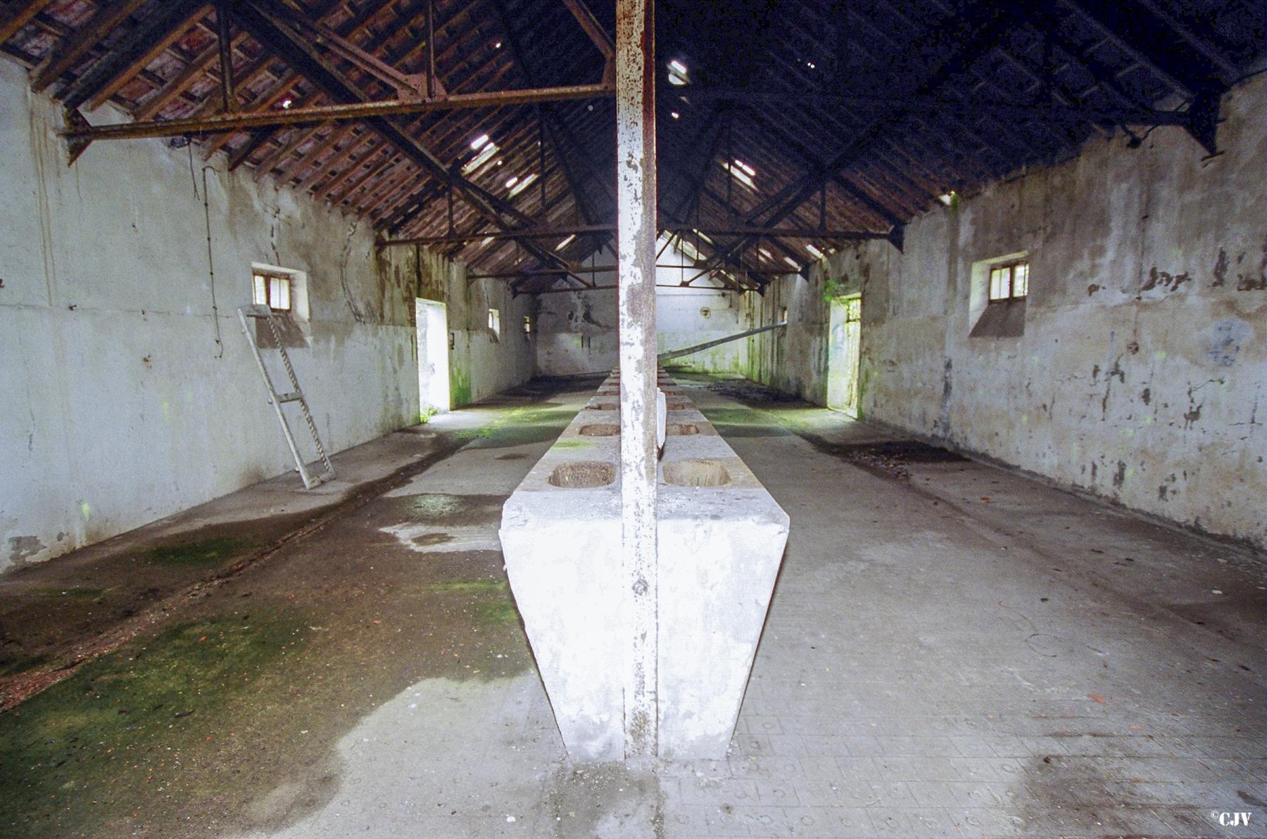 Ligne Maginot - BOCKANGE - (Camp de sureté) - L’écurie  - Lia VERMEULEN