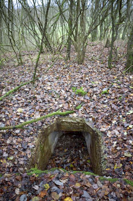 Ligne Maginot - GALBERG - (Observatoire d'artillerie) - Observatoire - poste d'observation - Frédéric VIEU