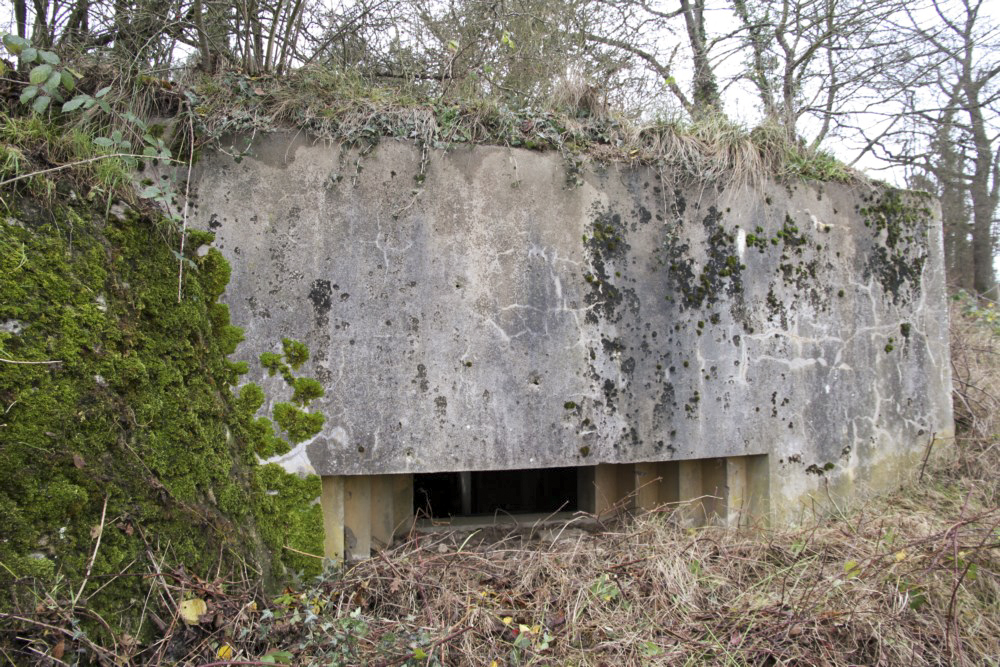 Ligne Maginot - BB212 - GALBERG EST - (Blockhaus pour canon) -  - Alain Perouffe