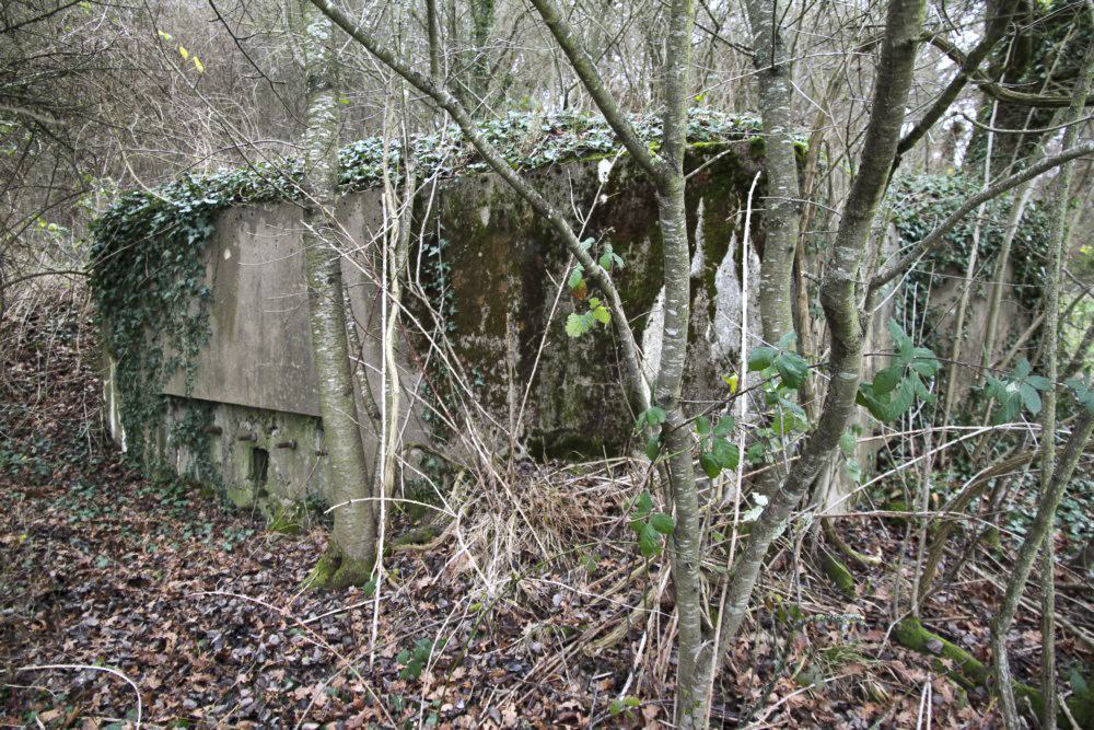 Ligne Maginot - BB236 - GALBERG SUD - (Blockhaus pour arme infanterie) - Créneau latéral - Alain Perouffe