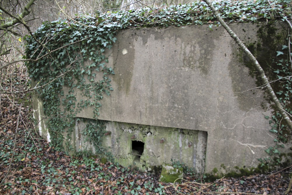 Ligne Maginot - BB236 - GALBERG SUD - (Blockhaus pour arme infanterie) - Créneau latéral - Alain Perouffe