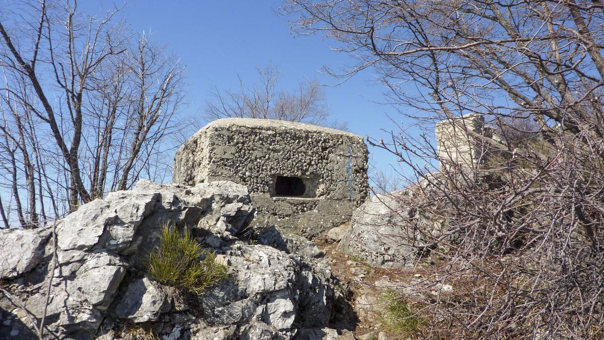 Ligne Maginot - PIERRE POINTUE 1 - (Blockhaus pour arme infanterie) -  - ELLENA-CUNY