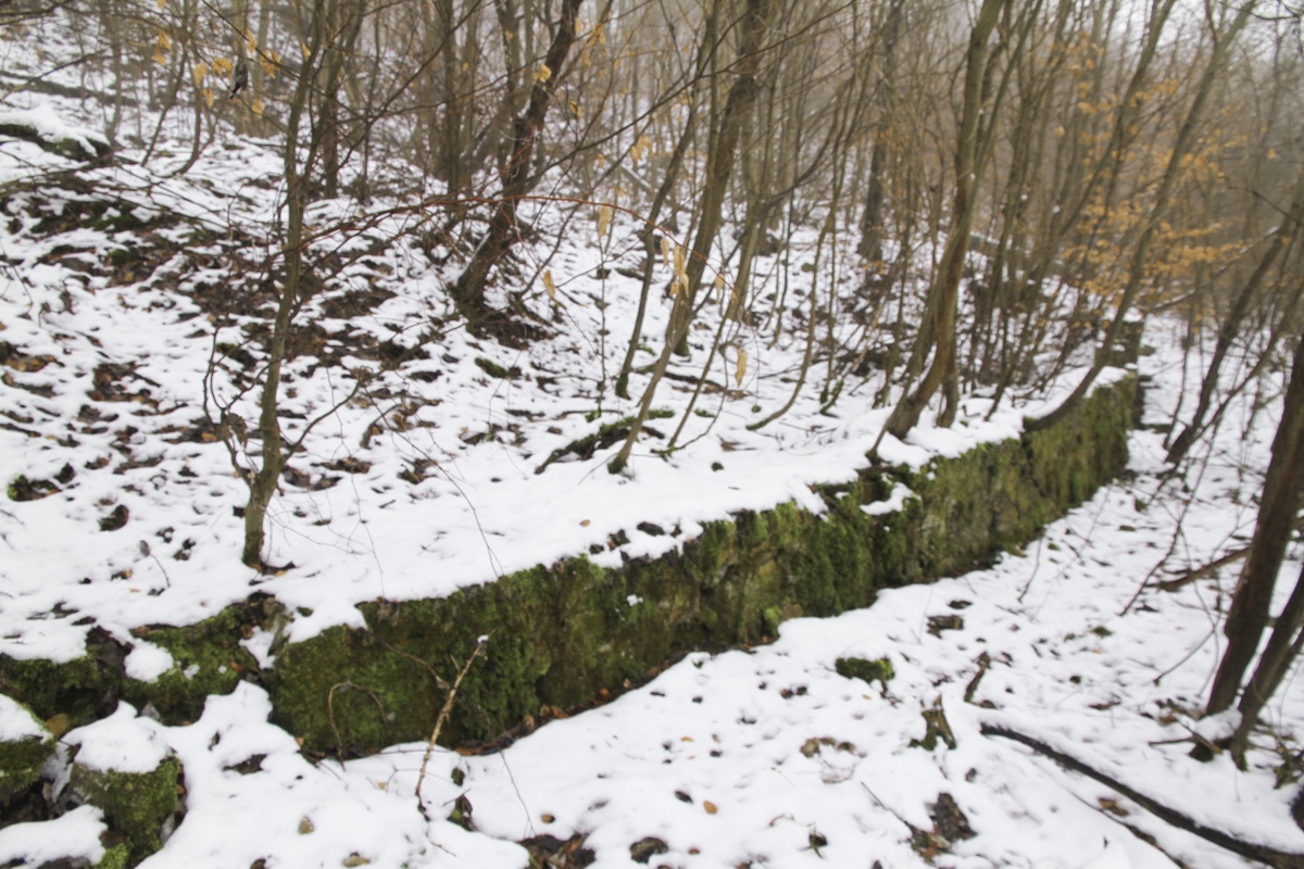 Ligne Maginot - HUHNERBUSCH (162° RIF) - (PC de Sous-Secteur) -  - Alain Perouffe