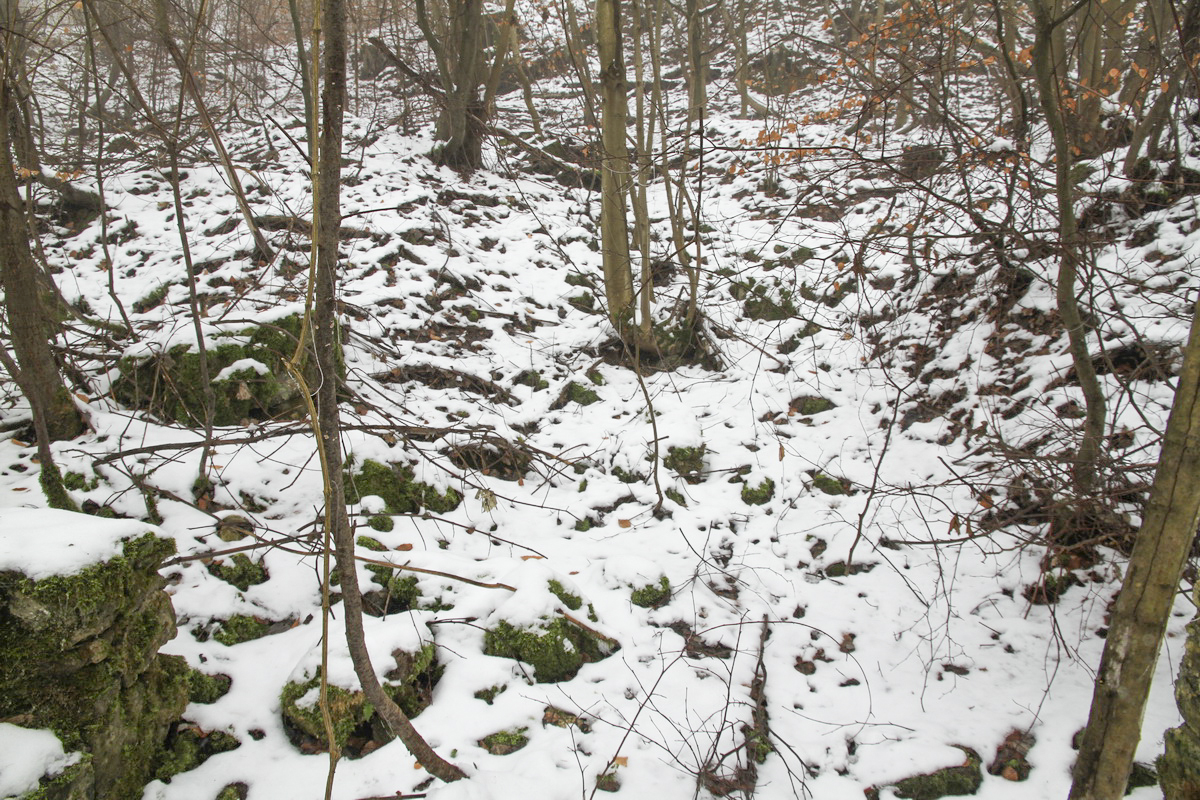 Ligne Maginot - HUHNERBUSCH (162° RIF) - (PC de Sous-Secteur) -  - Alain Perouffe