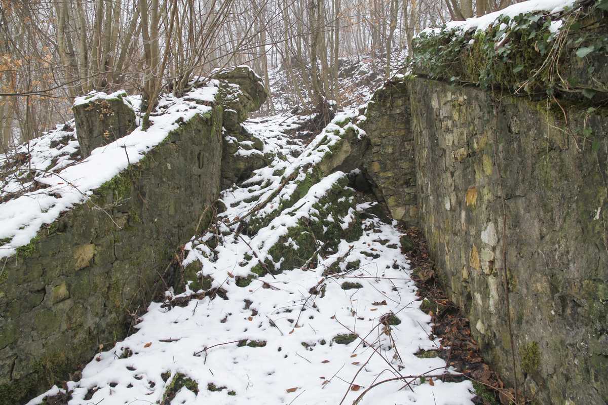 Ligne Maginot - HUHNERBUSCH (162° RIF) - (PC de Sous-Secteur) -  - Alain Perouffe