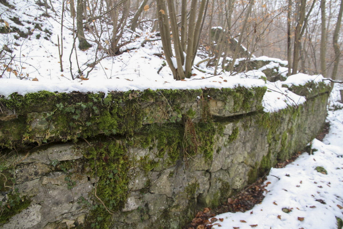 Ligne Maginot - HUHNERBUSCH (162° RIF) - (PC de Sous-Secteur) -  - Alain Perouffe