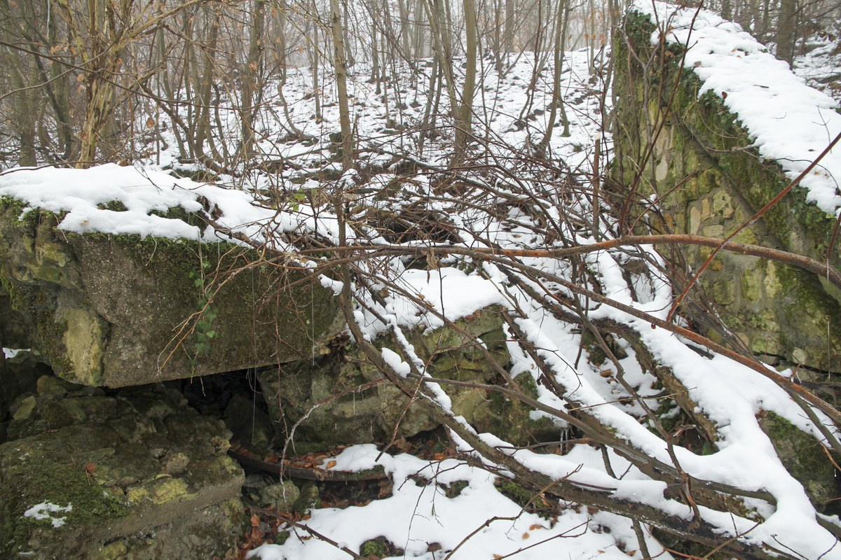 Ligne Maginot - HUHNERBUSCH (162° RIF) - (PC de Sous-Secteur) -  - Alain Perouffe