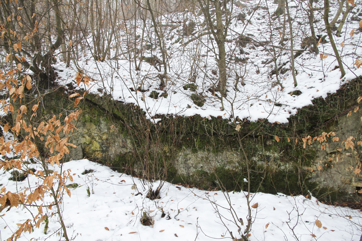 Ligne Maginot - HUHNERBUSCH (162° RIF) - (PC de Sous-Secteur) -  - Alain Perouffe