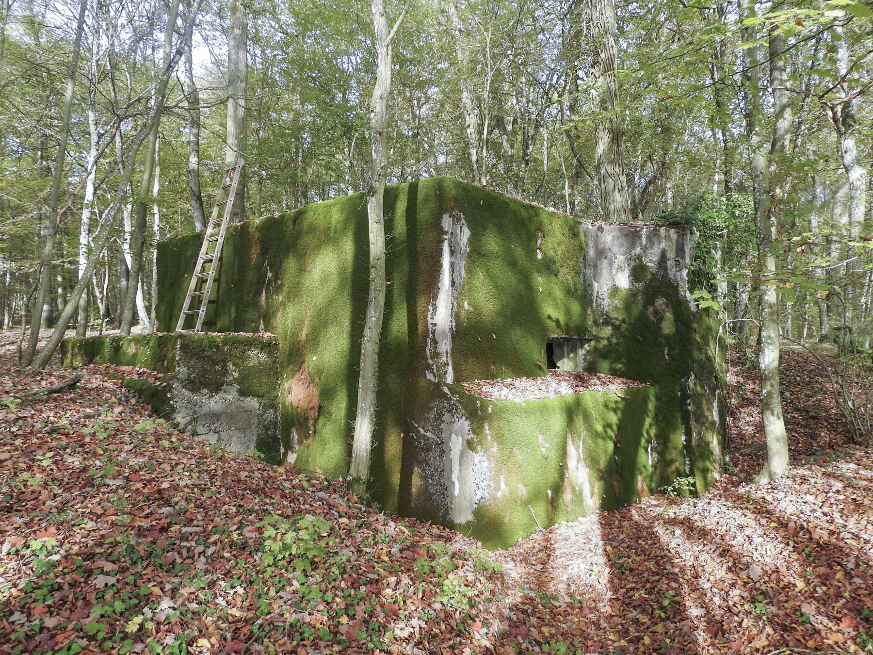 Ligne Maginot - KAISERWALD - (Blockhaus pour canon) - Le blockhaus vu du Sud. - STENGER Mathieu