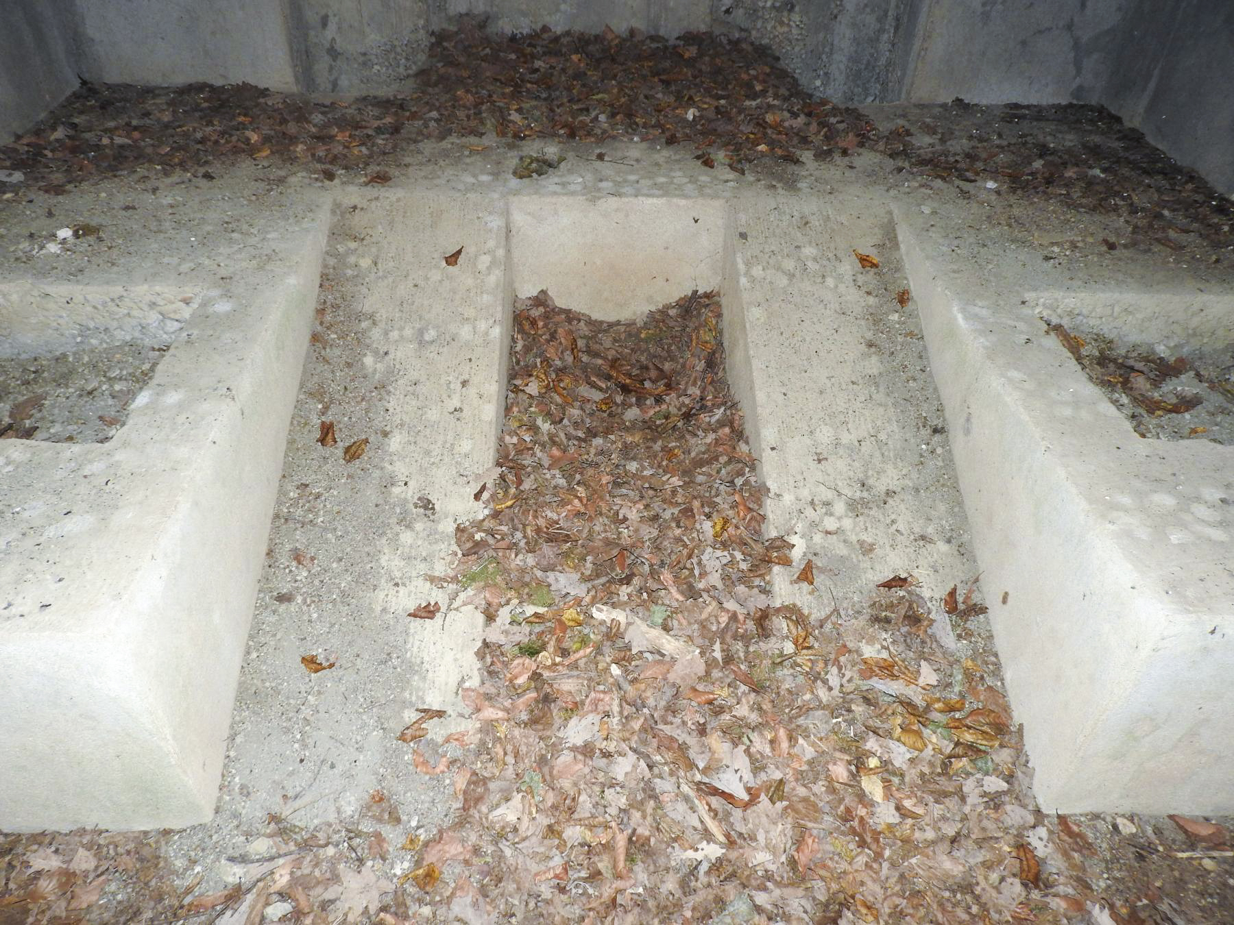 Ligne Maginot - KAISERWALD - (Blockhaus pour canon) - La rampe pour la mise en place du canon et les plots de blocage. - STENGER Mathieu