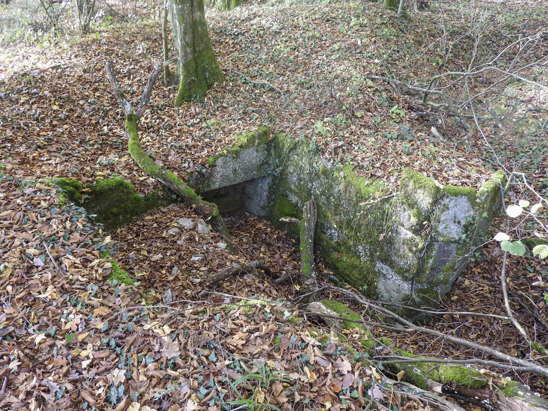 Ligne Maginot - KAISERWALD 2 - (Cuve pour arme d'infanterie) - Les restes de la cuve d'infanterie. On distingue une niche à munitions. - STENGER Mathieu