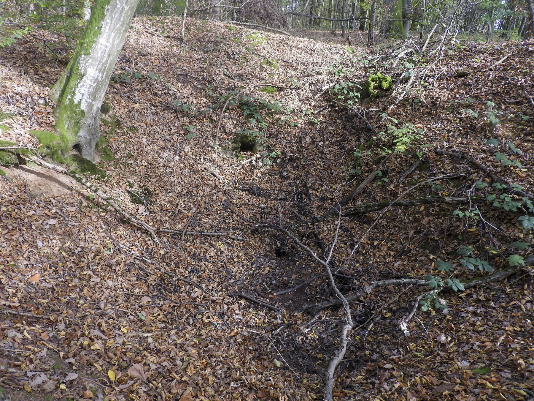 Ligne Maginot - KAISERWALD 2 - (Cuve pour arme d'infanterie) - Peut-être l'emplacement d'un abri. - STENGER Mathieu