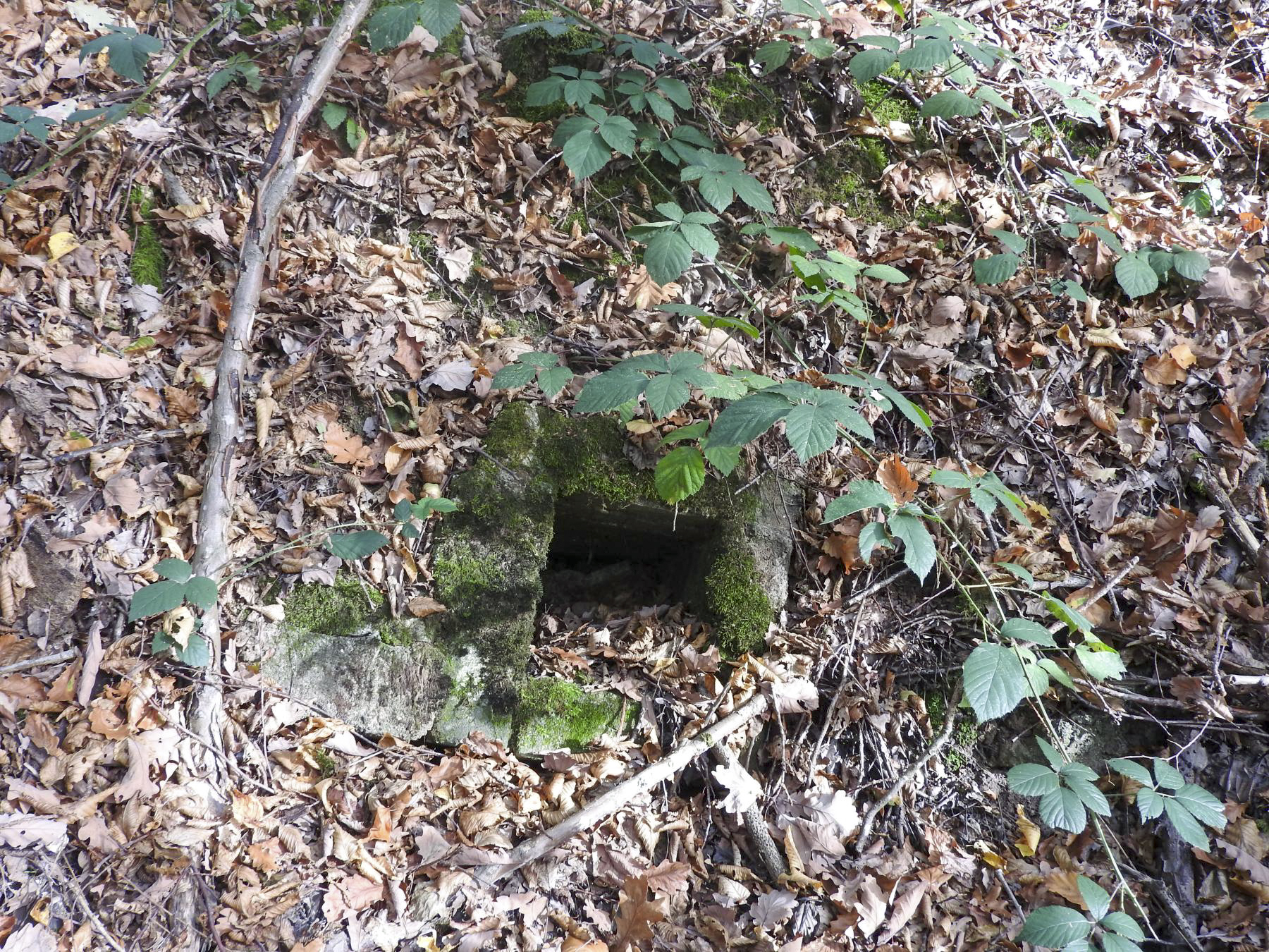 Ligne Maginot - KAISERWALD 2 - (Cuve pour arme d'infanterie) - Peut-être l'emplacement d'un abri. - STENGER Mathieu