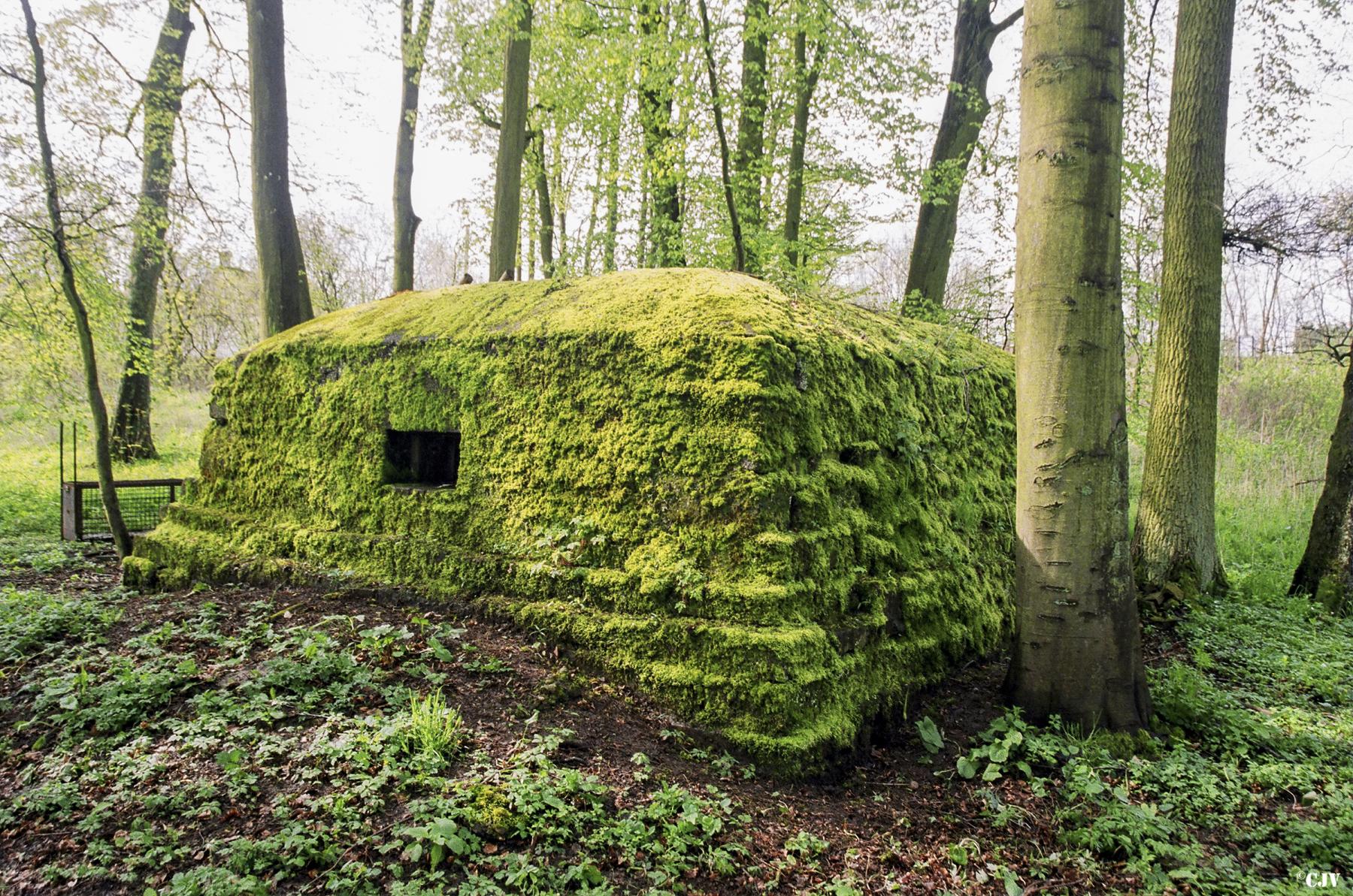 Ligne Maginot - MOULIN DU HAUT 2 - (Blockhaus pour arme infanterie) -  - Lia VERMEULEN