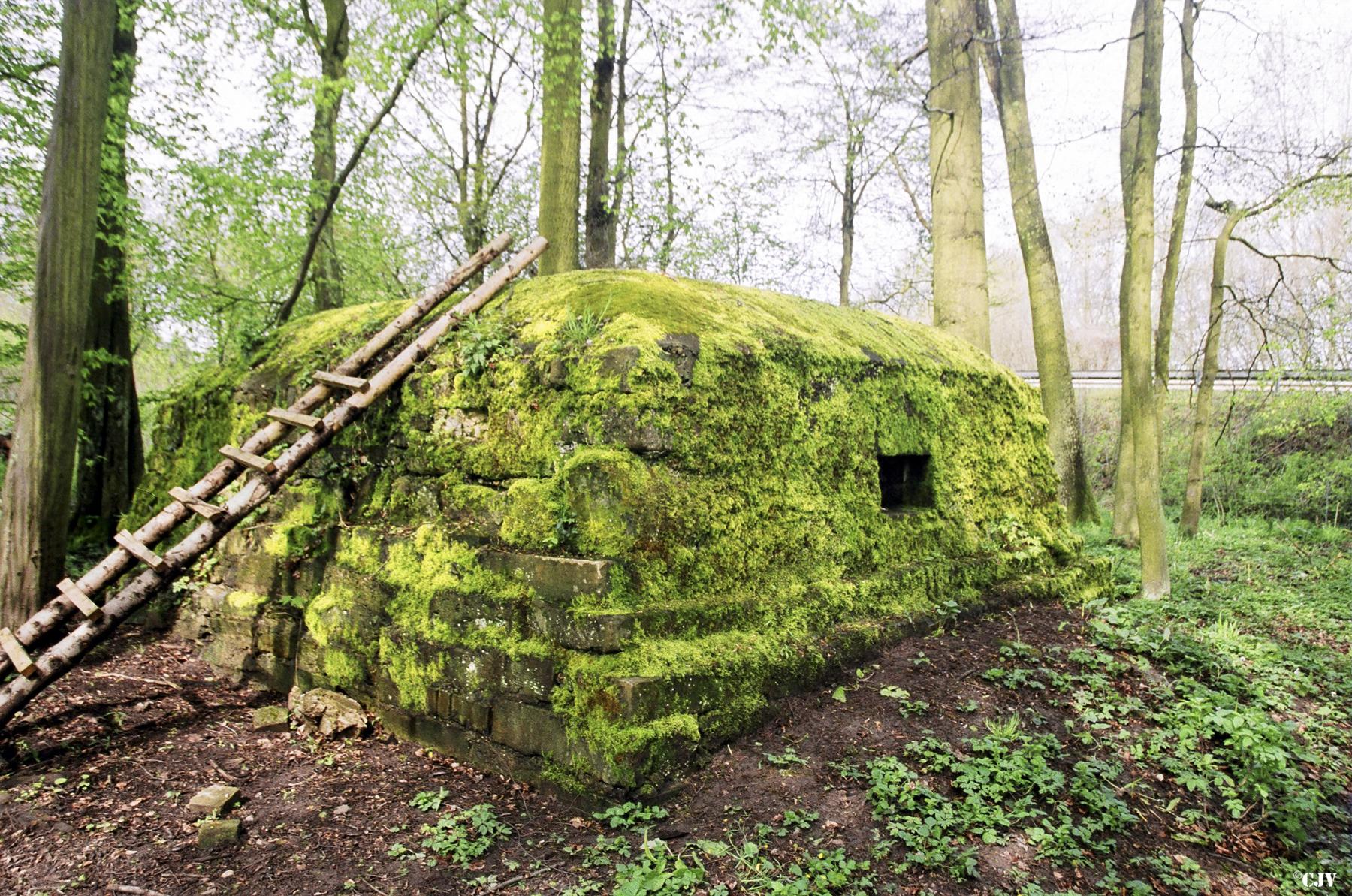 Ligne Maginot - MOULIN DU HAUT 2 - (Blockhaus pour arme infanterie) -  - Lia VERMEULEN