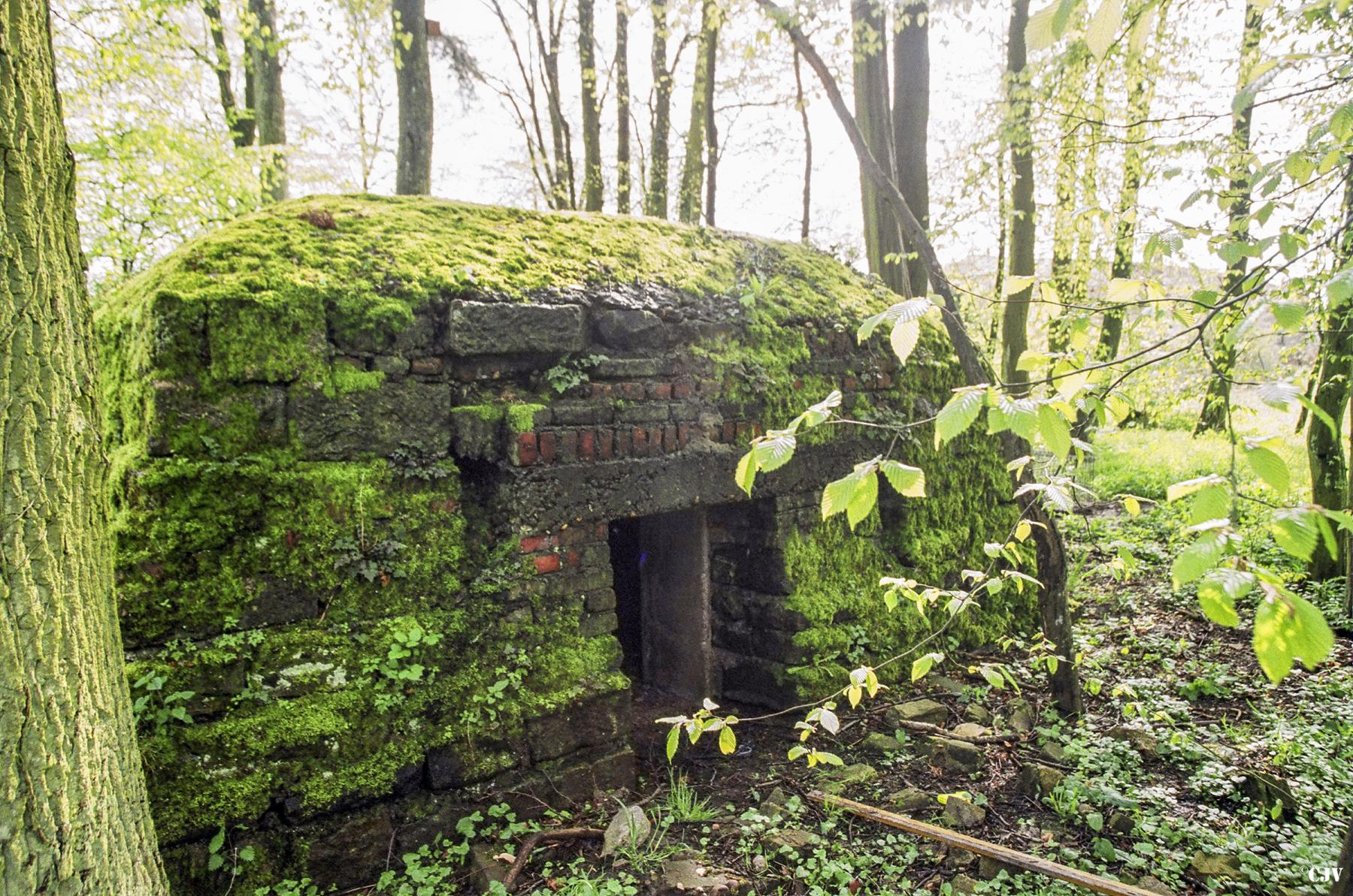 Ligne Maginot - MOULIN DU HAUT 2 - (Blockhaus pour arme infanterie) -  - Lia VERMEULEN