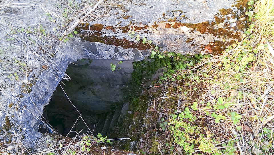Ligne Maginot - NEUENBERG - (Observatoire indéterminé) - L'entree - Gilbert Hastert