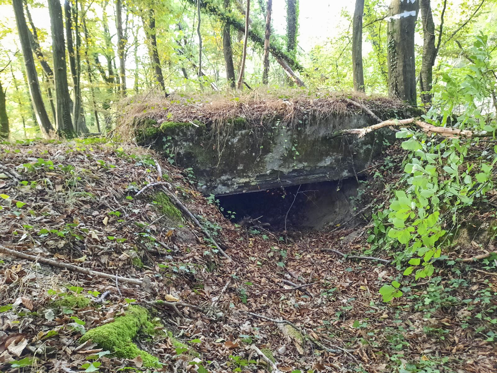 Ligne Maginot - BOIS SACKER - (Abri) -  - Rémi Virtt
