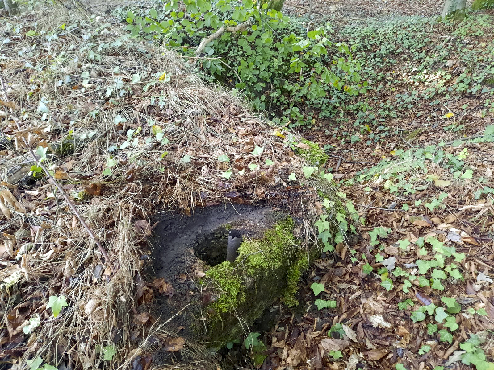 Ligne Maginot - BOIS SACKER - (Abri) -  - Rémi Virtt