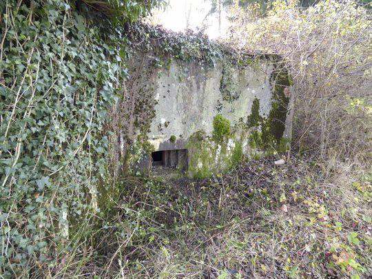 Ligne Maginot - STEINKAUL Ouest - (Blockhaus pour arme infanterie) -  - AALMA - www.lignemaginot.com