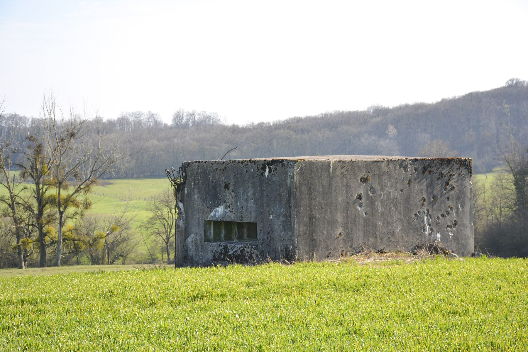 Ligne Maginot - VEILLERBERG - (Blockhaus pour canon) - Vue d'ensemble du blockhaus - Pascal Lambert