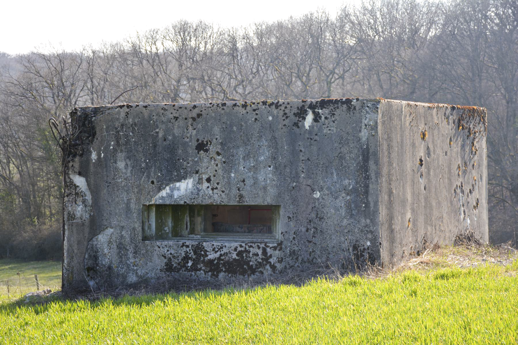 Ligne Maginot - VEILLERBERG - (Blockhaus pour canon) - Vue d'ensemble du blockhaus - Pascal Lambert