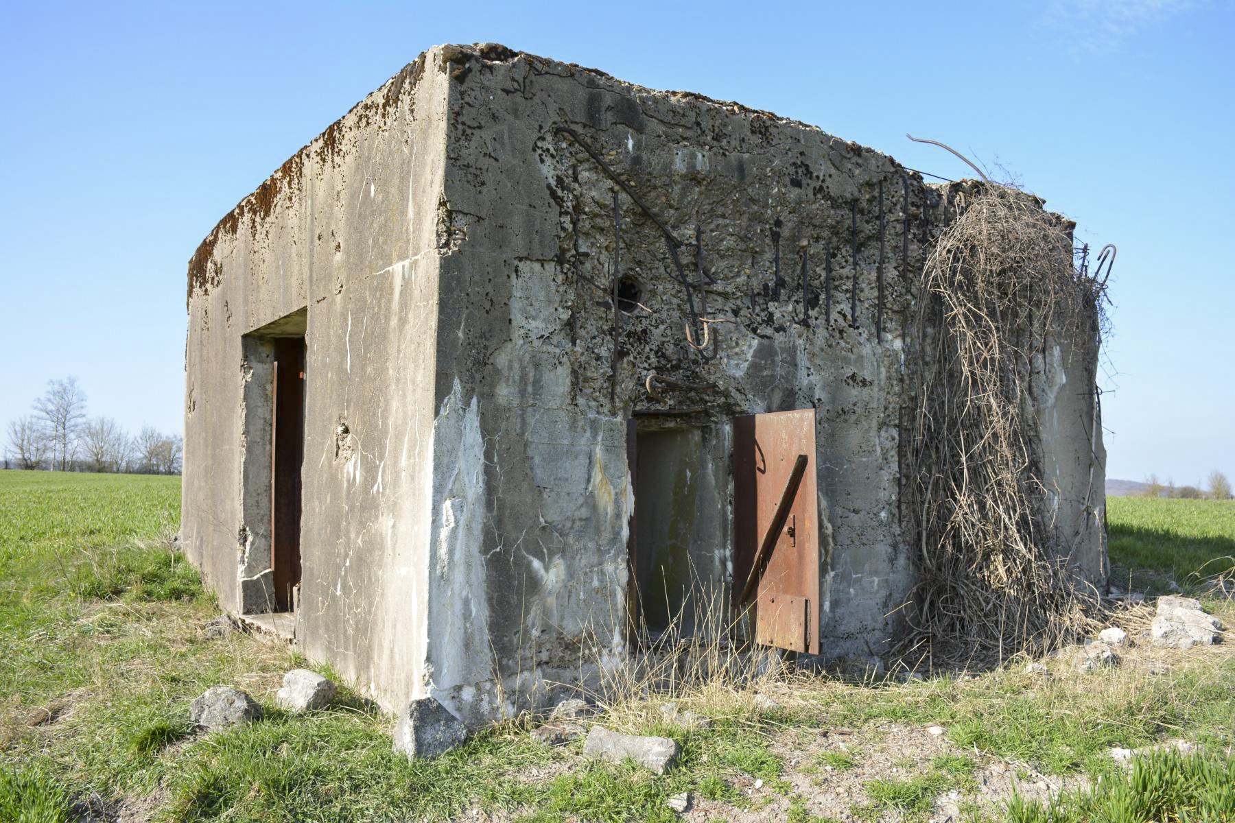 Ligne Maginot - VEILLERBERG - (Blockhaus pour canon) - L'accès pour les hommes du coté droit du blockhaus, et l'accès pour la pièce antichar sur l'arrière - Pascal Lambert