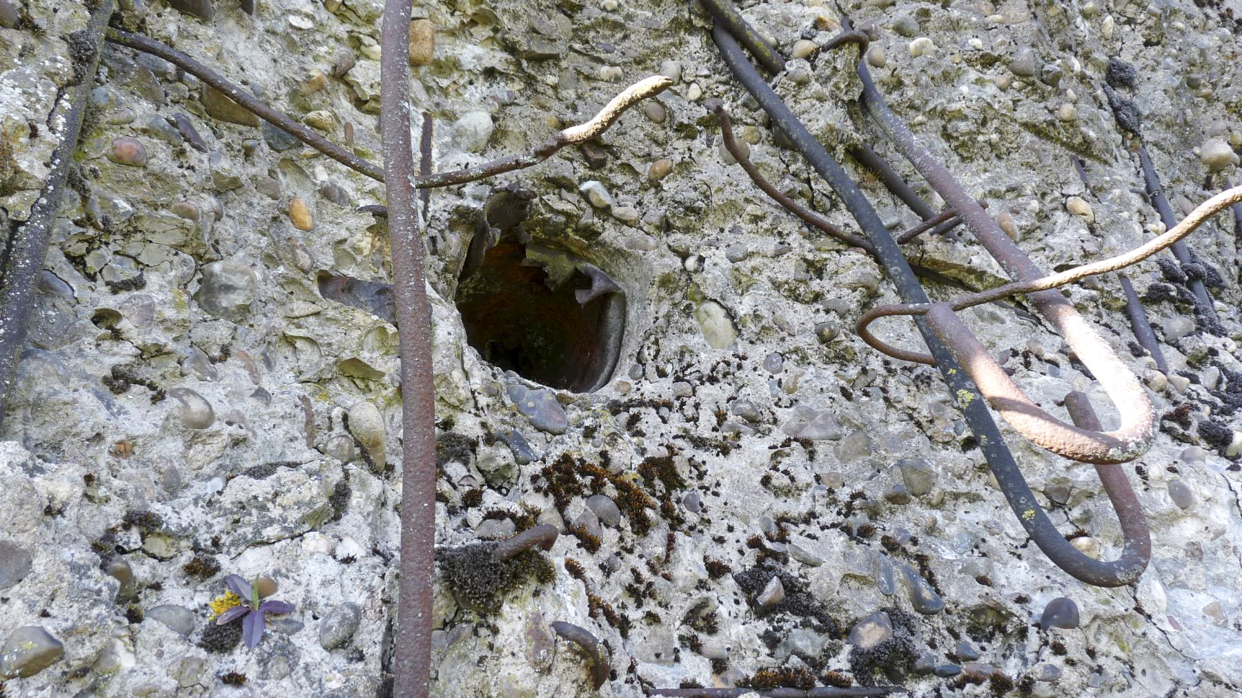 Ligne Maginot - VEILLERBERG - (Blockhaus pour canon) - La prise d'air vue de l'extérieur - Sylvie-Laure LAMBERT