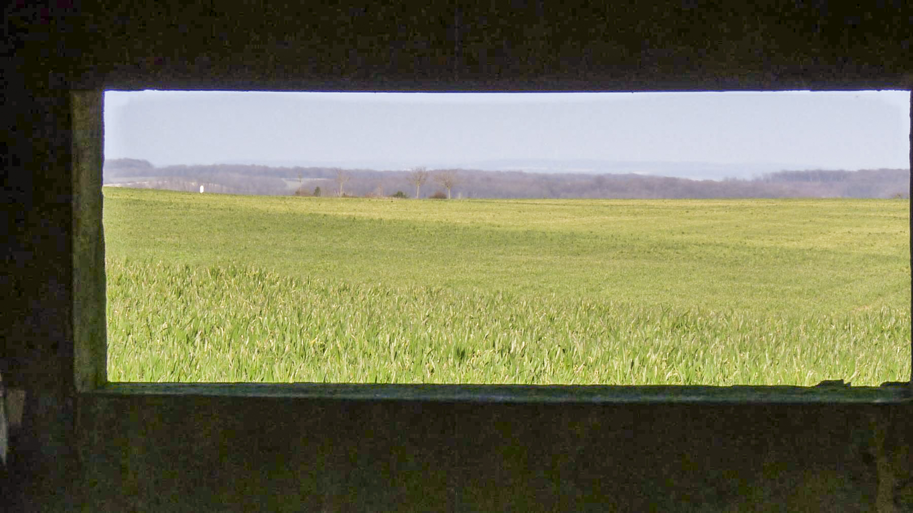 Ligne Maginot - VEILLERBERG - (Blockhaus pour canon) - Le champ de tir vu du créneau - Sylvie-Laure LAMBERT