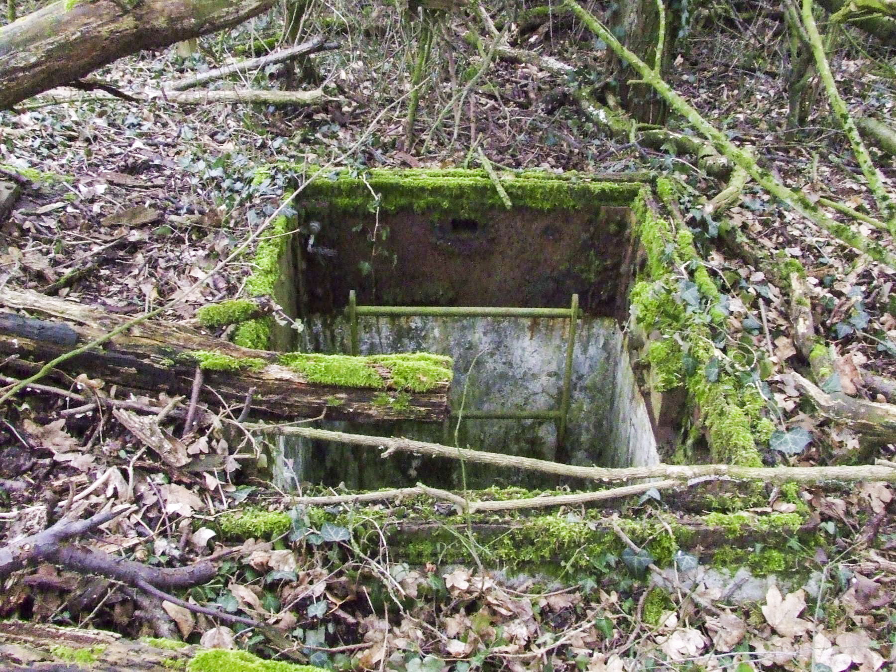 Ligne Maginot - 4A - (Chambre de coupure) - La chambre de coupure: la trappe manque et elle est inondée. - STENGER Mathieu