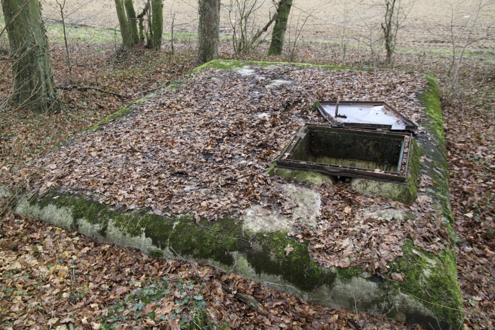 Ligne Maginot - 29A - (Chambre de coupure) -  - Alain Perouffe